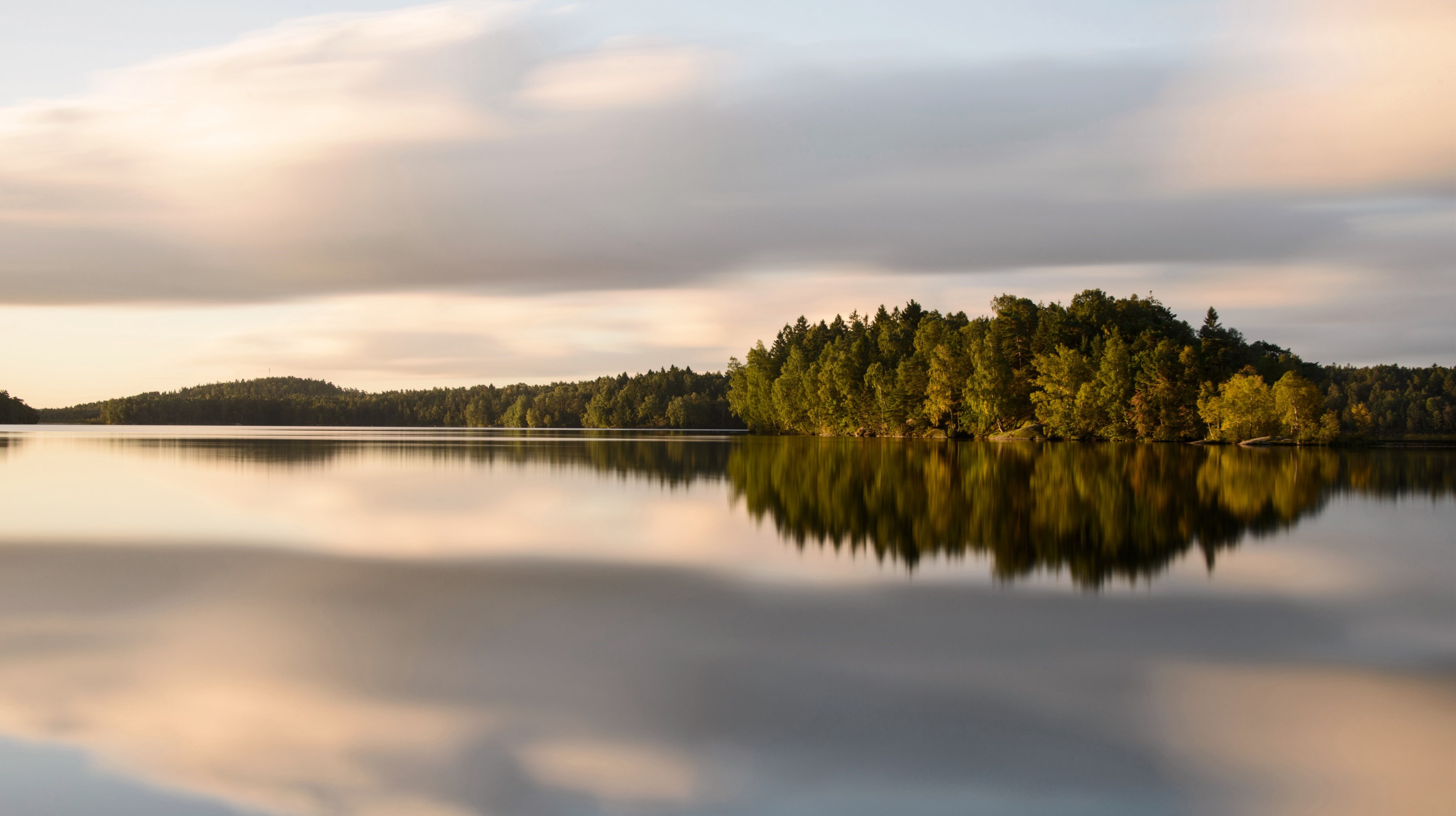 Bild på en sjö och skog